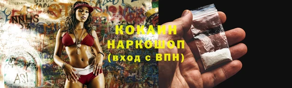 прущие грибы Осинники