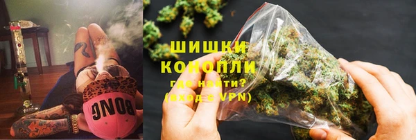 прущие грибы Осинники