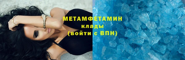 прущие грибы Осинники