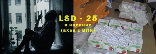 прущие грибы Осинники