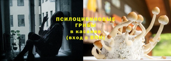прущие грибы Осинники