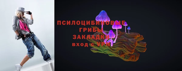 прущие грибы Осинники