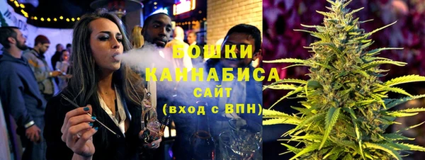 прущие грибы Осинники