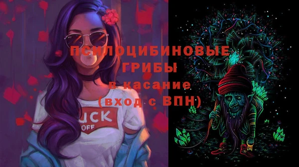 прущие грибы Осинники