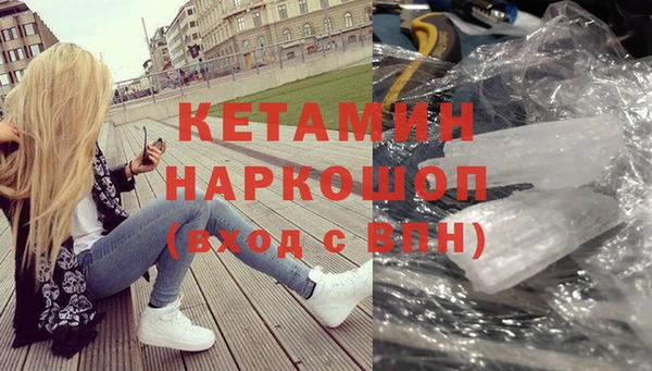 прущие грибы Осинники