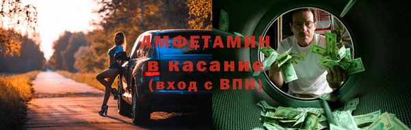 индика Вязьма