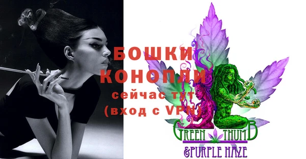 прущие грибы Осинники